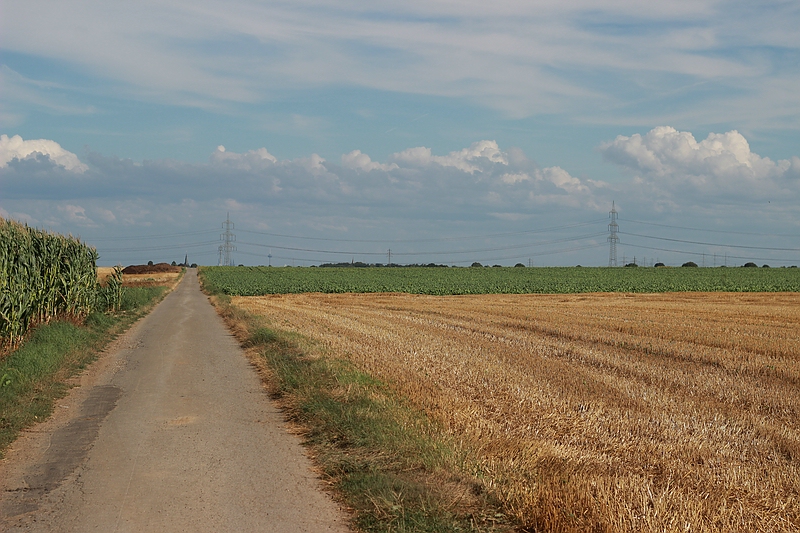 Blick Richtung Stommeln