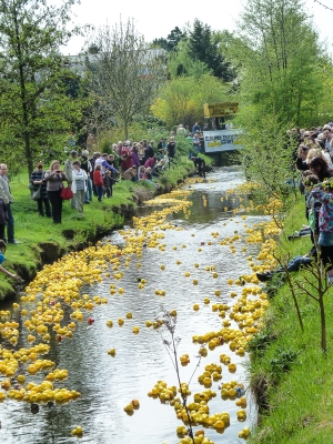 Entenrennen