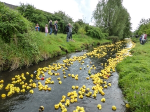 Entenrennen 2014