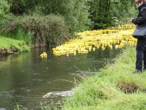 Entenrennen 2014