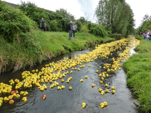 Entenrennen 2014