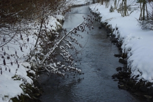 22.12.2014 - Du bist ein Giller wenn