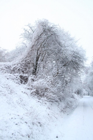 22.12.2014 - Du bist ein Giller wenn