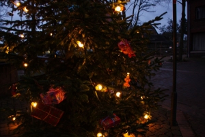 Weihnachtsbaum Bürgerverein Rommerskirchen 2014