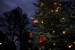 Weihnachtsbaum Bürgerverein Rommerskirchen 2014