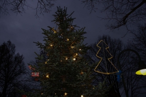 Weihnachtsbaum Bürgerverein Rommerskirchen 2014