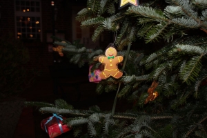 Weihnachtsbaum Bürgerverein Rommerskirchen 2014