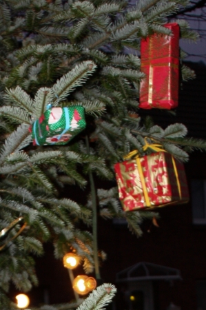 Weihnachtsbaum Bürgerverein Rommerskirchen 2014