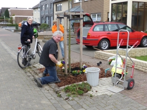 Fit in den Frühling