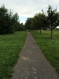 Am Gillbachpark