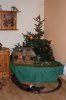 IMG_5540.jpg