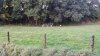 20120929_172120.jpg