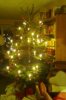 Herr Baum 2012.jpg