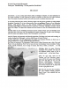 upload_2014-12-8_5-57-37.png