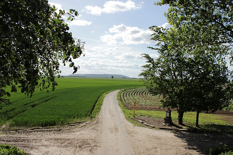 Wegkreuz bei Butzheim