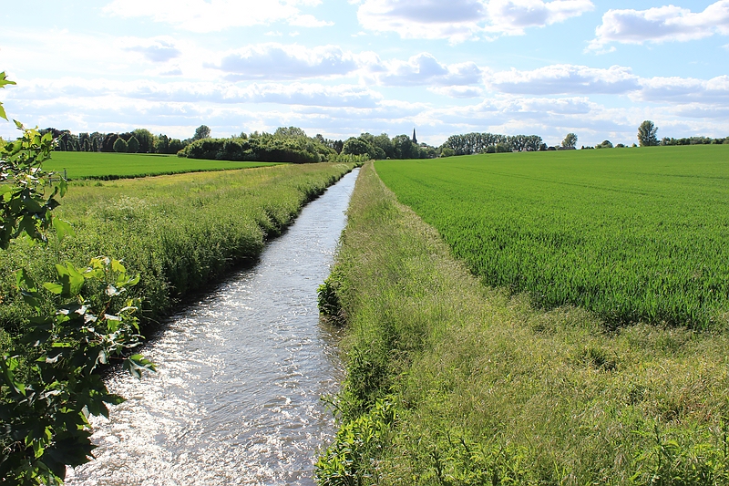Gillbach am Alshof