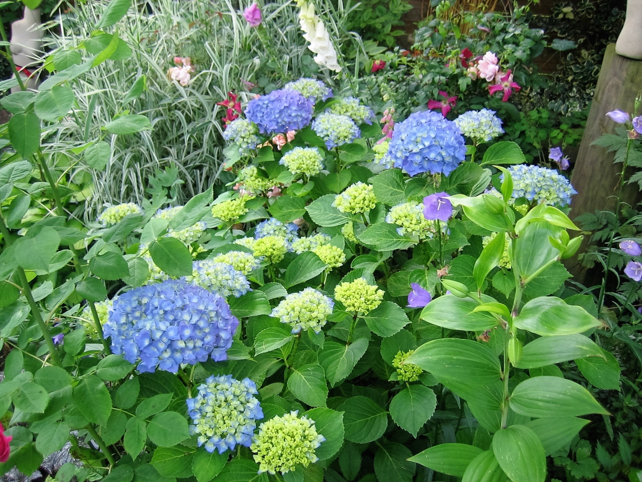 Mein schöner Garten