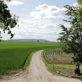 Wegkreuz bei Butzheim