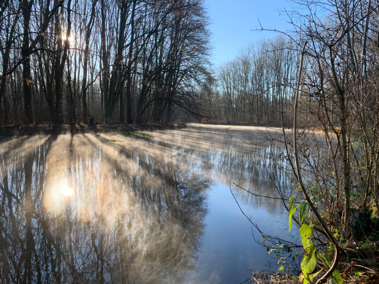 Fotowettbewerb:  Rhein-Kreis Neuss sucht die schönsten Jahreszeiten-Fotos