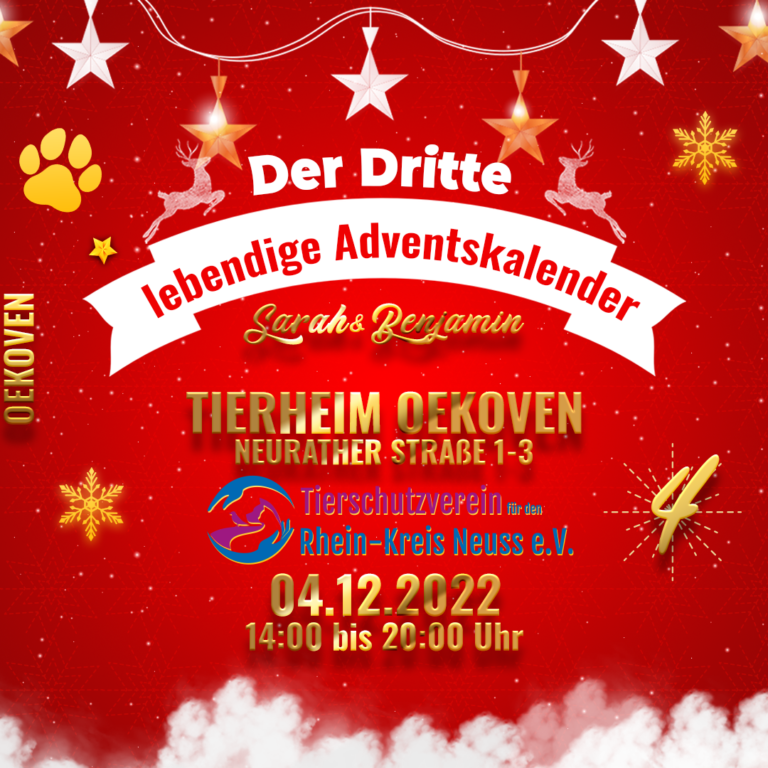 Lebendiger Adventskalender Rommerskirchen am 4.Dezember in Oekoven ab 14:00 bis 20:00 Uhr beim ersten tierischen Weihnachtsmarkt