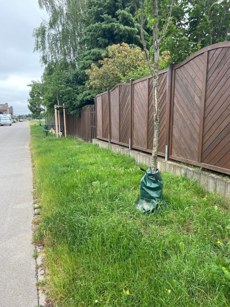 Gemeinde bietet wieder Wassersäcke für junge Bäume an