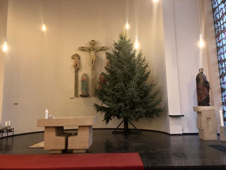 St. Sebastianus-Bruderschaft stellte Weihnachtsbaum in St. Peter auf