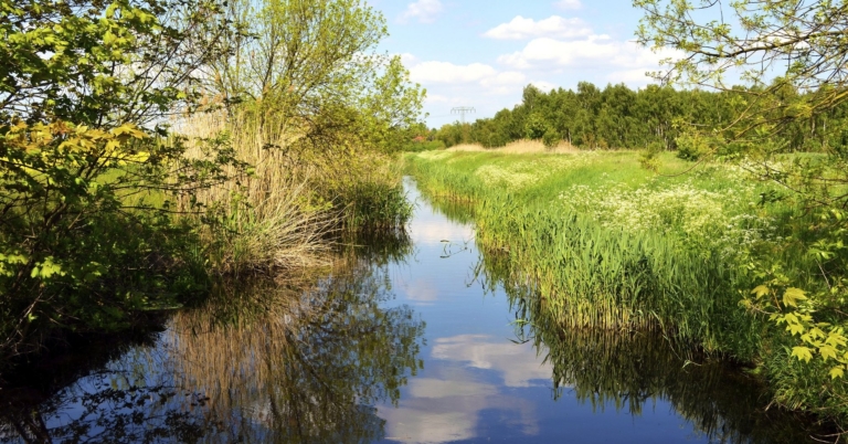 Nächste Gewässerschau am Gillbach in Neuss ist am 3. November geplant