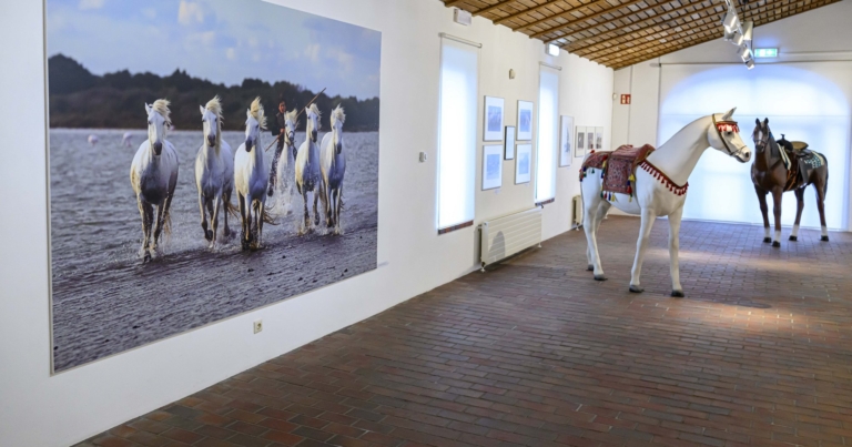 Kreiskulturzentrum Sinsteden: Vortrag über „Das Anreiten junger Pferde“