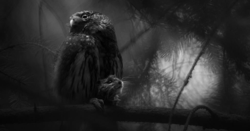 Kreiskulturzentrum Sinsteden: Ausstellung „Europäischer Naturfotograf des Jahres 2025“ läuft vom 1. Oktober bis zum 29. November Kreiskulturzentrum Sinsteden: Ausstellung „Europäischer Naturfotograf des Jahres 2025“ läuft vom 1. Oktober bis zum 29. November
