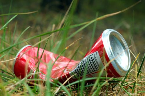 Massive Verunreinigungen der Grünflächen an der Waldwiese