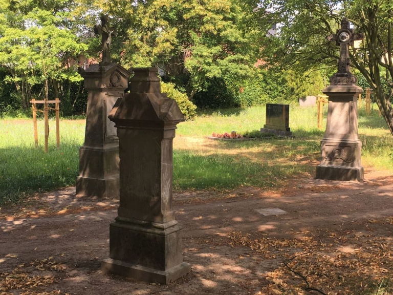 Vermehrte Baumfällungen auf Friedhöfen und im Stadtgebiet sind notwendig