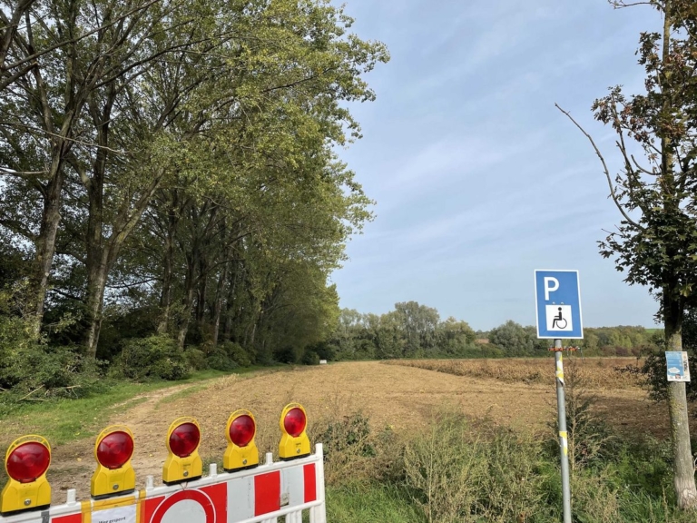 Starker Pilzbefall macht Baumfällungen im Elsbachtal notwendig