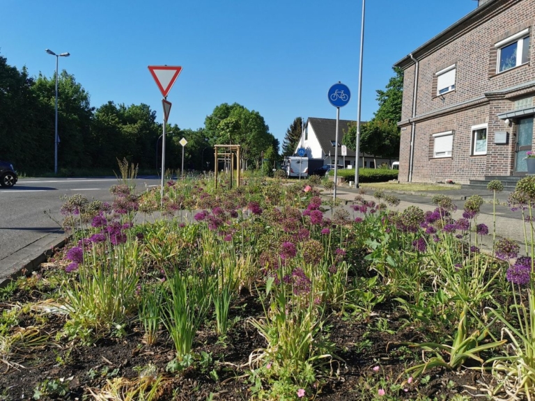 Stauden sorgen für Blütenpracht