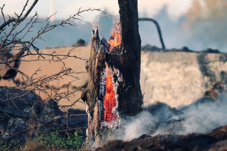 Stadt warnt vor erhöhter Wald- und Graslandbrandgefahr