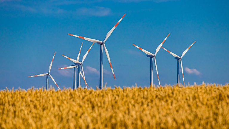 Windkraft in Rommerskirchen: Bürgerintiative „Pro Natur und Heimat“ im Austausch mit dem Rathaus